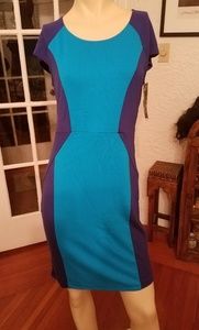 Ambar for Target Blue dress